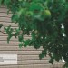Сайдинг Ю-Пласт TIMBERBLOCK Пихта (Тимберблок) Cахалинская купить в Кирове