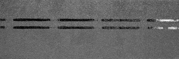 Коньково-карнизная черепица Docke Premium, черника купить в Кирове