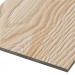 Фиброцементные панели FCSPRO Decor Wood Лиственница купить в Кирове