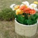 Цветник КАНЬОН купить в Кирове